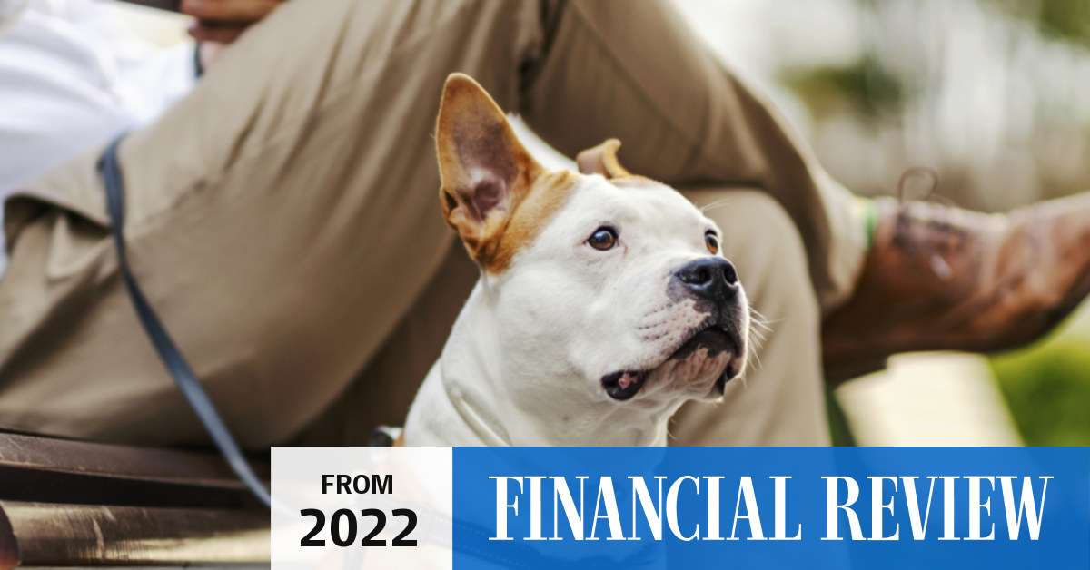 Doggone it why your pet isn’t tax deductible